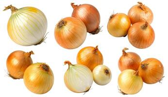 A collection of different yellow onions is isolated on a white background. photo