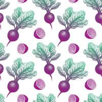 Beetroot with tops. Seamless pattern. Ink sketch on white background. Hand drawn illustration. Retro style. vector