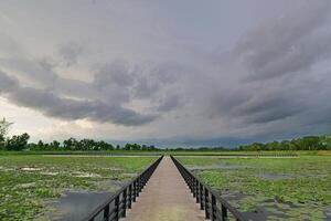 A long straight path stretches through a beautiful mist-covered lotus pond. The lotus pond is covered with lotus leaves. The walkway is made of concrete with black railings on both sides photo