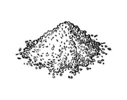 Nutmeg powder. Ground spice. Ink sketch isolated on white background. Hand drawn illustration. Retro style. vector