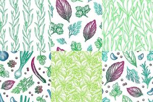 Collection of seamless patterns with herbs and spices.Hand drawn ink illustrations. vector