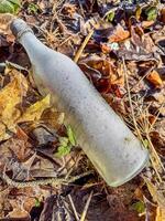 Frosted glass bottle lying on autumn leaves in a cold, natural outdoor setting. High quality photo
