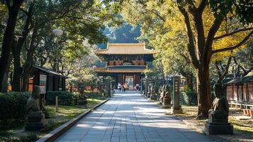 A path lined with trees and shrubs photo