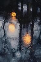 Reflections of trees in a puddle of water photo