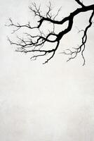 Dark tree limbs reaching across a pale and empty canvas photo