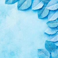 Blue Leaf Arrangement on a Light Blue Surface photo