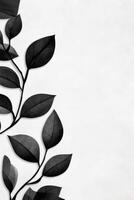 Branch With Leaves In Light Space photo