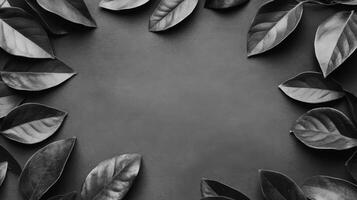 Monochromatic Leaves Embrace Central Emptiness Harmoniously photo