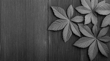 Monochrome Leaves Pattern on Rustic Wooden Surface photo