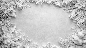 Snowy Border with Winter Holiday Elements photo