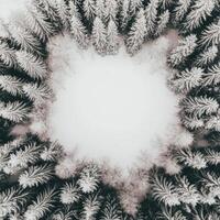 Snow covered fir trees frame a central white space photo