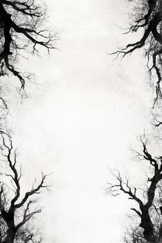 Winter Trees Forming a Border on a Pale Background photo