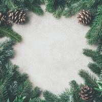 Evergreen Border with Pine Cones on Grey photo