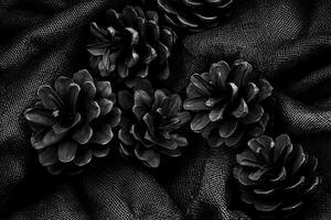 Monochrome Pine Cones on Dark Fabr photo