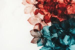 Floral Arrangement with Red and Blue Petals on White photo