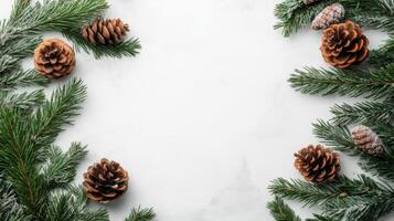 Pine Cones and Evergreen Branches on a White Background photo