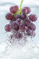 Grapes in Water on a Light Background photo