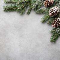 Snow-Dusted Pine Cones and Evergreen Branches on a Gray Background photo