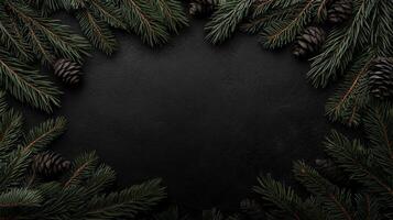 Evergreen Branches and Pine Cones on a Black Background photo