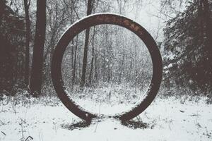 A Metal Ring in a Snowy Forest photo