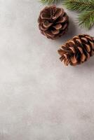 Two Pine Cones and a Branch on a Gray Surface photo