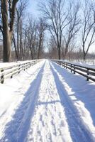 A snowy path stretches into the distance, lined with bare trees and wooden fences photo