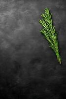 Fresh Rosemary Sprig Tied with Twine on a Dark Textured Background photo