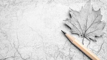 Monochrome Maple Leaf and Pencil on Cracked Paper Surface photo