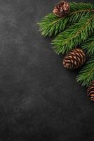 Green Pine Branches with Pine Cones on a Black Textured Background photo
