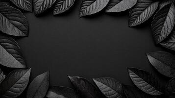 Dark Leaves Border on Black Background, Black Leaf Frame photo
