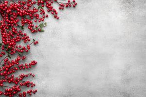 Red Berries Border on a Textured Light Gray Background photo
