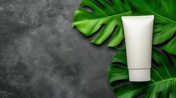 White Tube Surrounded by Lush Green Leaves on a Dark Textured Stone photo