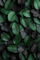 Dense Cluster of Green and Dark Leaves in a Lush Arrangement photo