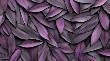 Dense Layer of Glossy Purple Feathers in a Textured Pattern photo