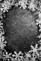 Intricate Snowflakes Framing a Dark Icy Surface in Monochrome Contrast photo