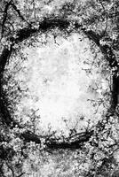 Circular Frame of Twisted Branches with White Blossoms on a Textured Background photo