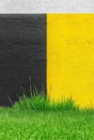 Green Grass Against a Black and Yellow Textured Wall with White Top photo