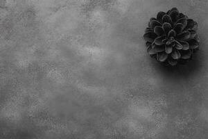 Single Pinecone on a Textured Gray Surface in Monochrome photo