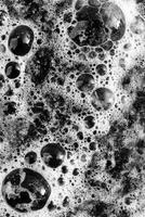Black and White Bubbles with Foam in a Textured Pattern in Monochrome photo