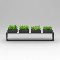 Four Square Black Planters with Green Plants on Minimalist Metal Stand photo