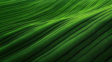 Aerial View of Lush Green Terraced Tea Fields with Abstract Patterns of Nature's Beauty and Texture photo