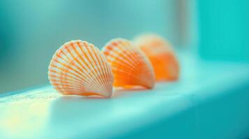 Three Delicate Orange Shells Resting on a Light Surface with a Soft Blue Background photo