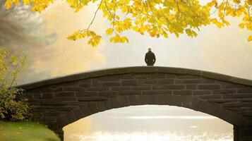 Peaceful Autumn Scene with Person Sitting on Stone Bridge Surrounded by Colorful Fall Foliage and Calm Lake photo