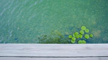 Tranquil Pond Surface with Green Lily Pads and Clear Water Reflection in Natural Outdoor Scene photo