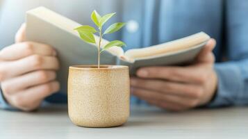 Young Plant Growing from Pot While Person Reads Book in Cozy Indoor Environment photo