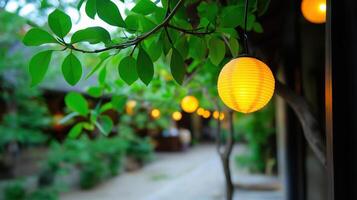 Soft Glow of Lanterns Surrounded by Green Leaves in a Tranquil Outdoor Setting at Dusk photo