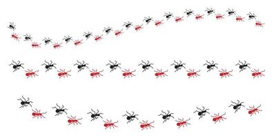 Ants marching in a row vector