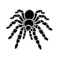 A black and white spider silhouette on a white background vector