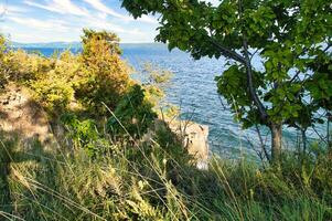 View from a cliff onto a lake with clear water, surrounded by green trees and nature. photo
