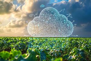 Smart Agriculture Cloud Computing Data Network Over Lush Green Field photo